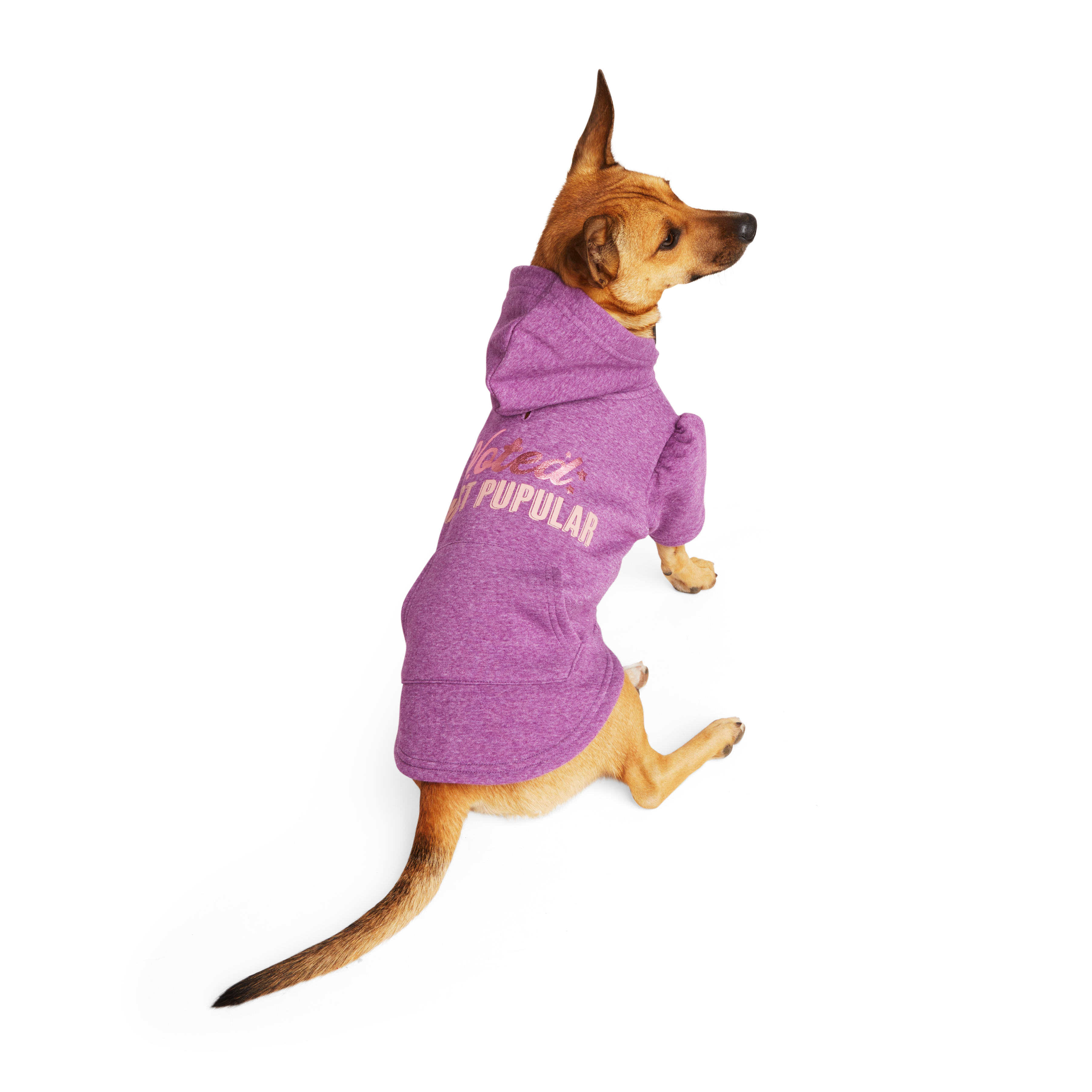 YOULY Most Pupular Dog Hoodie， XX-Small