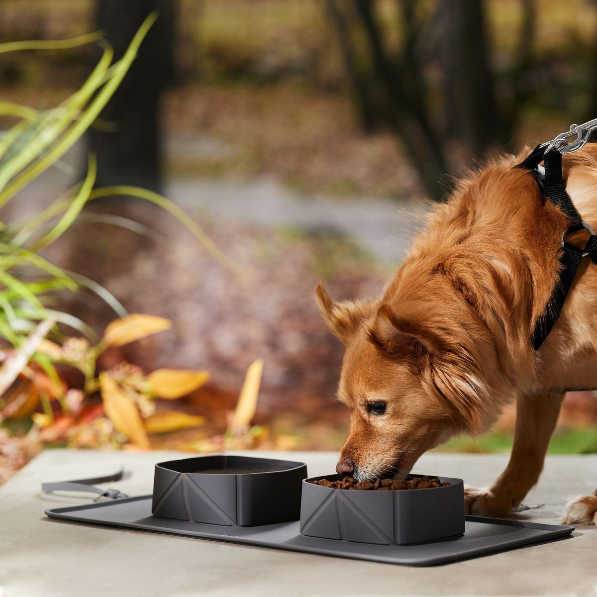 Frisco Travel Silicone Dog and Cat Travel Double Diner Bowl