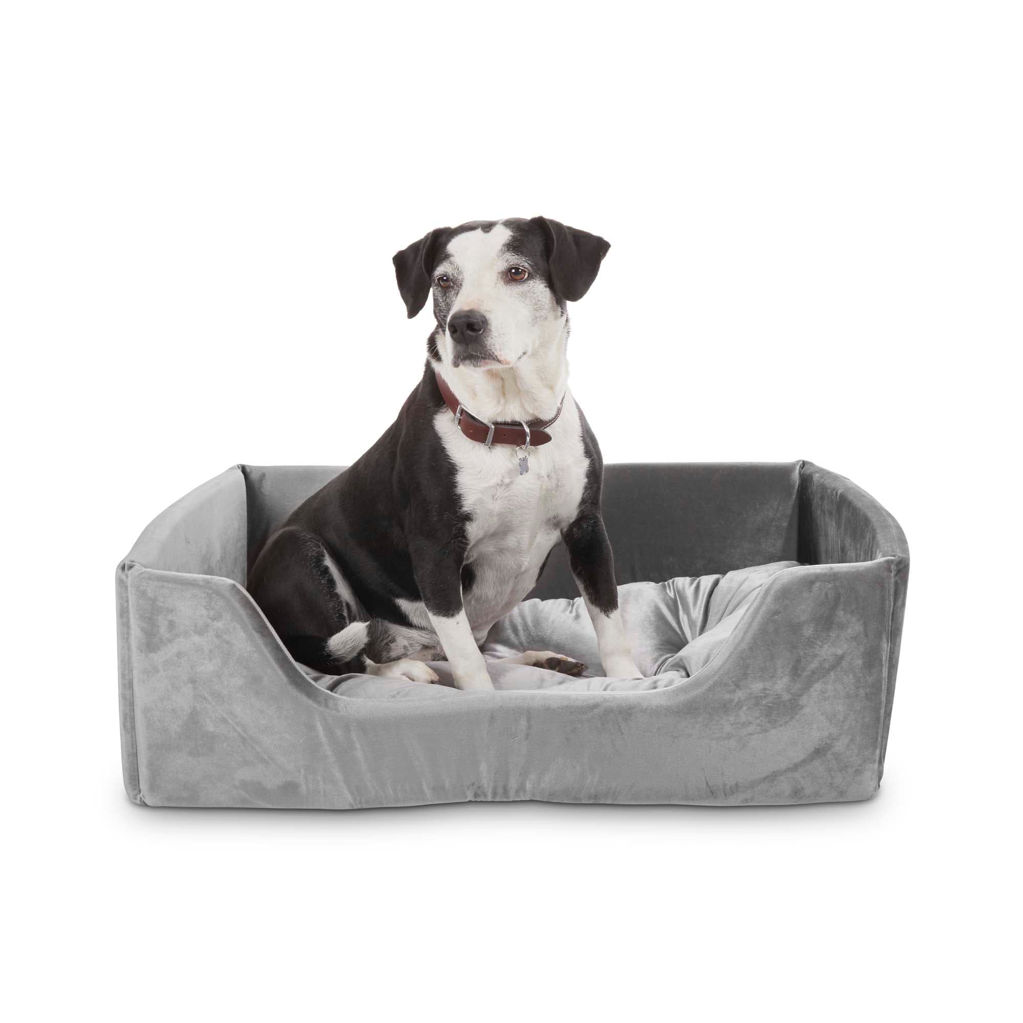 EveryYay Grey Snooze Fest Cuddler Box Dog Bed， 24