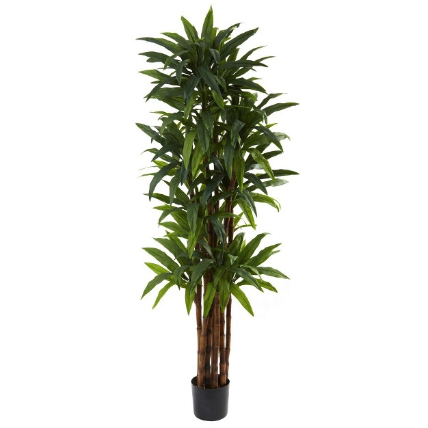 Nearly Natural 6.5-ft Dracaena Tree