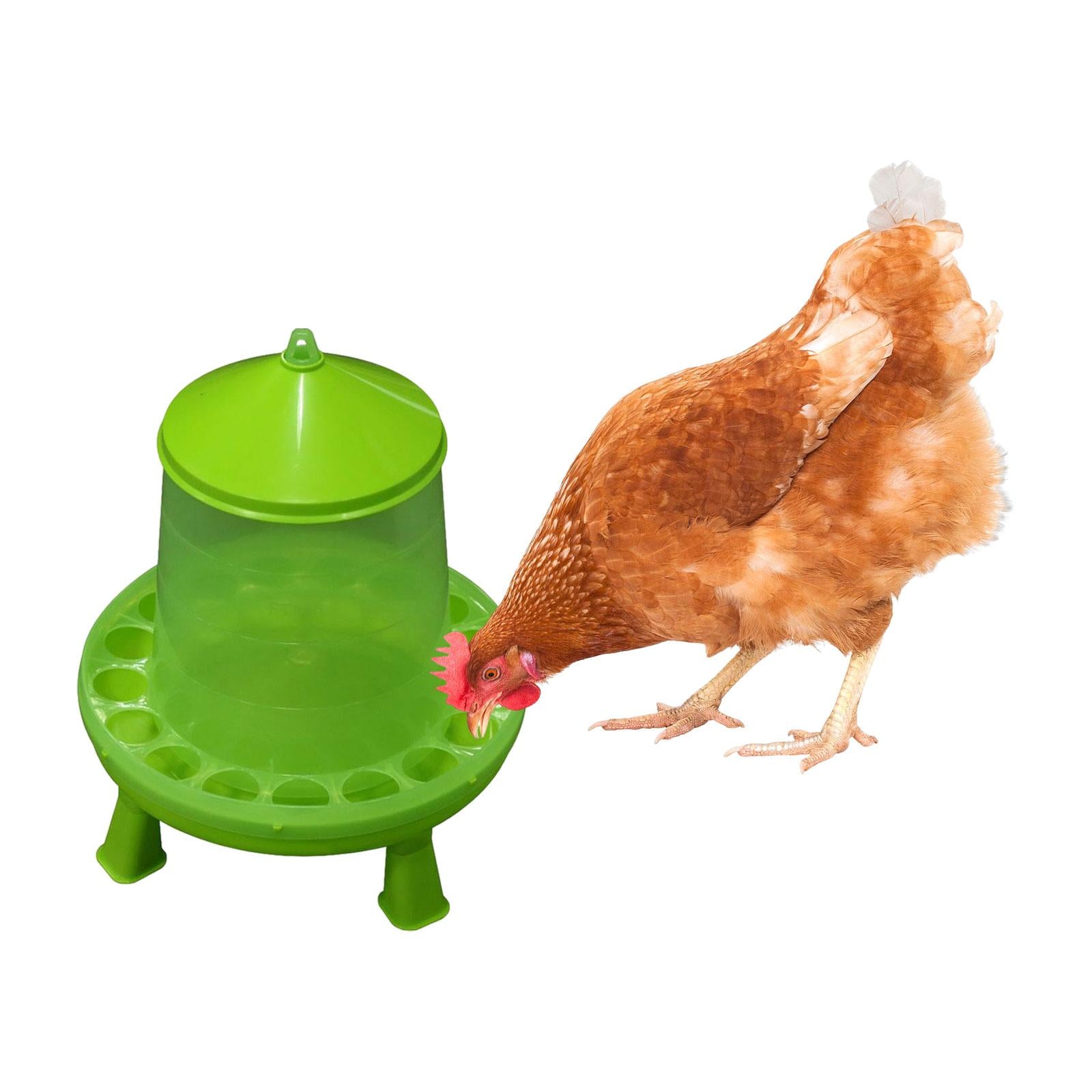 Green Chicken Feeder Chick Feeder feed Dispenser Feeding Tool with Feeding Holes 8kg