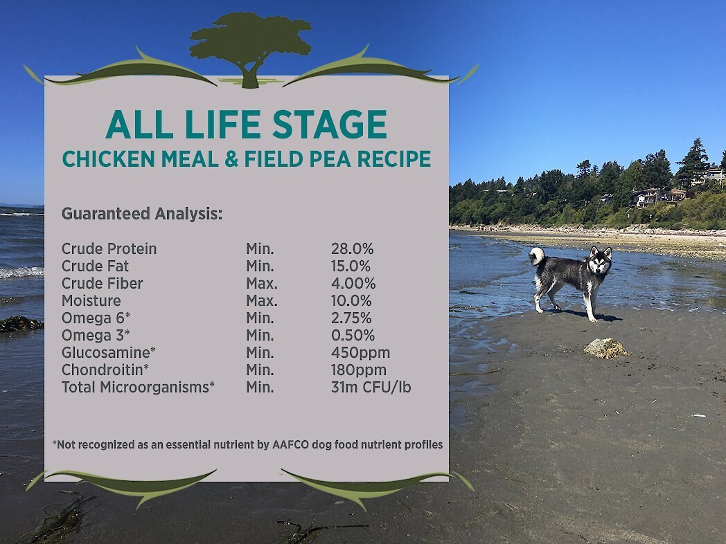 Blackwood Chicken Meal and Field Pea Recipe Grain-Free Dry Dog Food