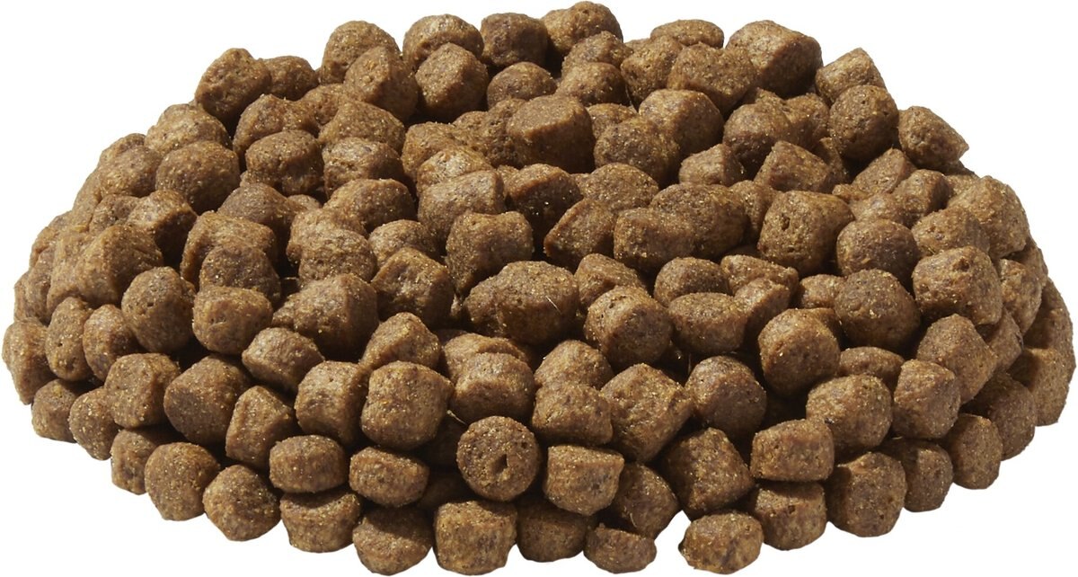 Dr. Gary's Best Breed Holistic Field Dry Dog Food