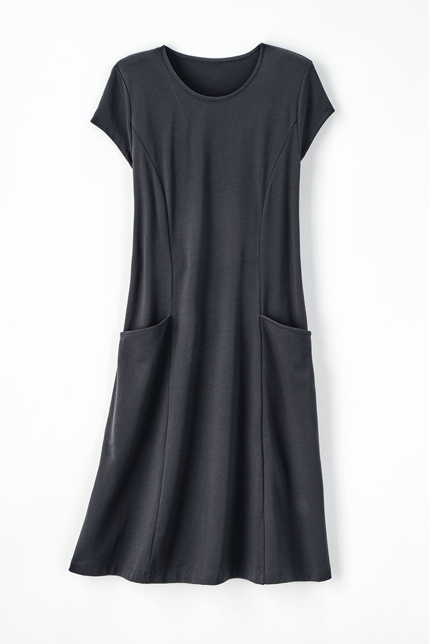 Destinations Seamed Dress