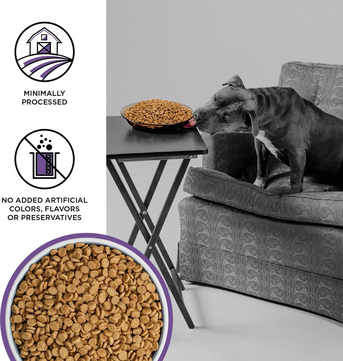 BIXBI Liberty Fresh Grain-Free Lamb Recipe Dry Dog Food