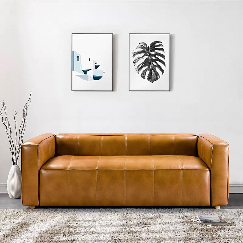 Donia Mid Century Modern Leather 80\