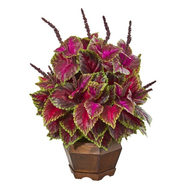 23 Coleus Artificial Plant in Decorative Planter