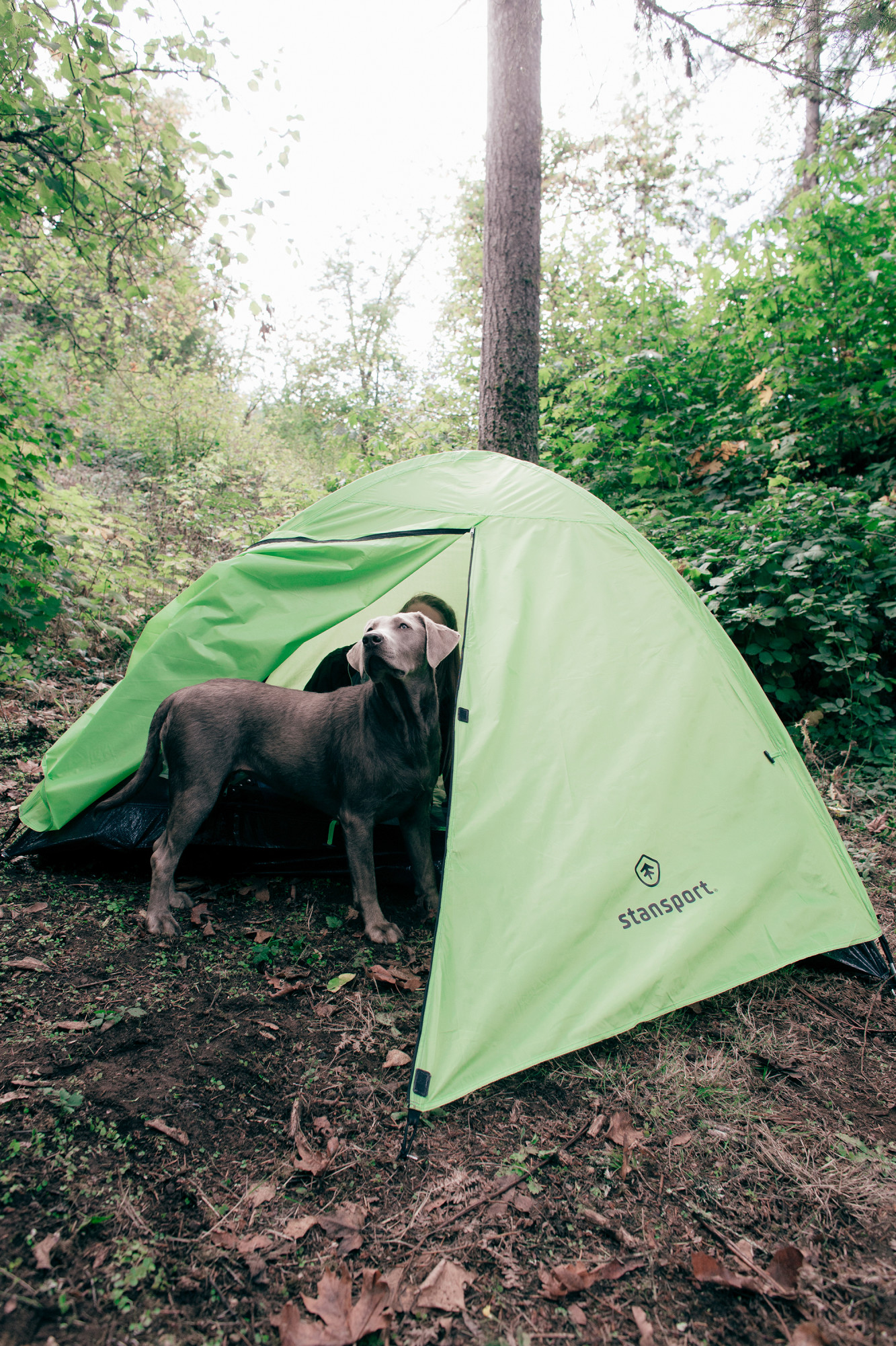 Stansport 2-Person Backpacking Tent