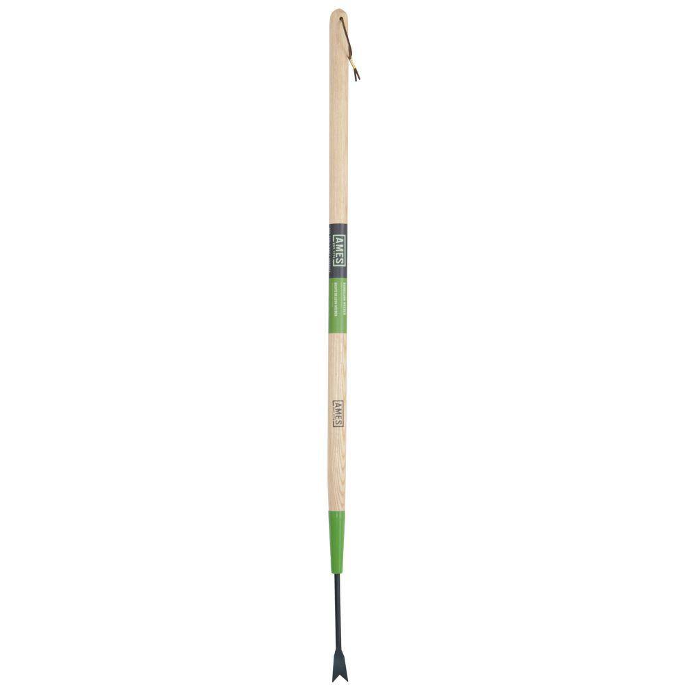 Ames 36 in. Wood Handle Forged Dandelion Weeder 2942100