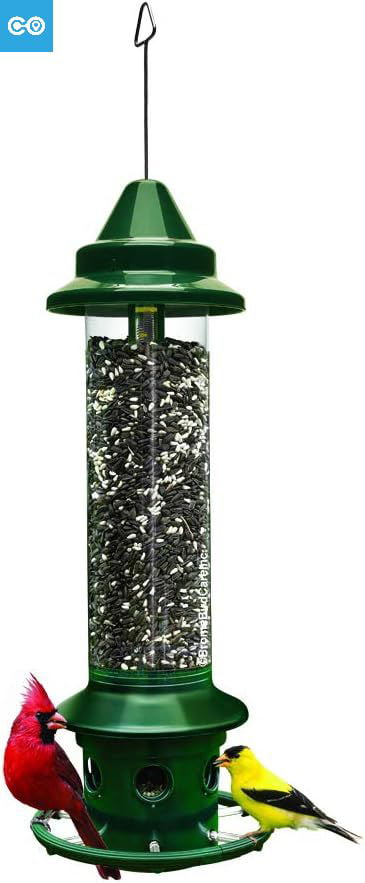 Squirrel Buster Plus Squirrel-Proof Bird Feeder w/Cardinal Ring and 6 Feeding Ports  5.1-Pound Seed Capacity  Green and Squirrel Buster Pole Adaptor  Black  1-inch External Diameter