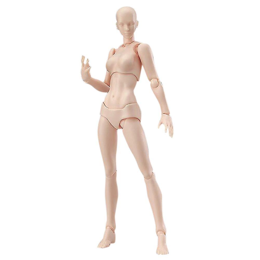 Articulated Mannequins Human Body Models PVC Movable Action Figure Models Gifts