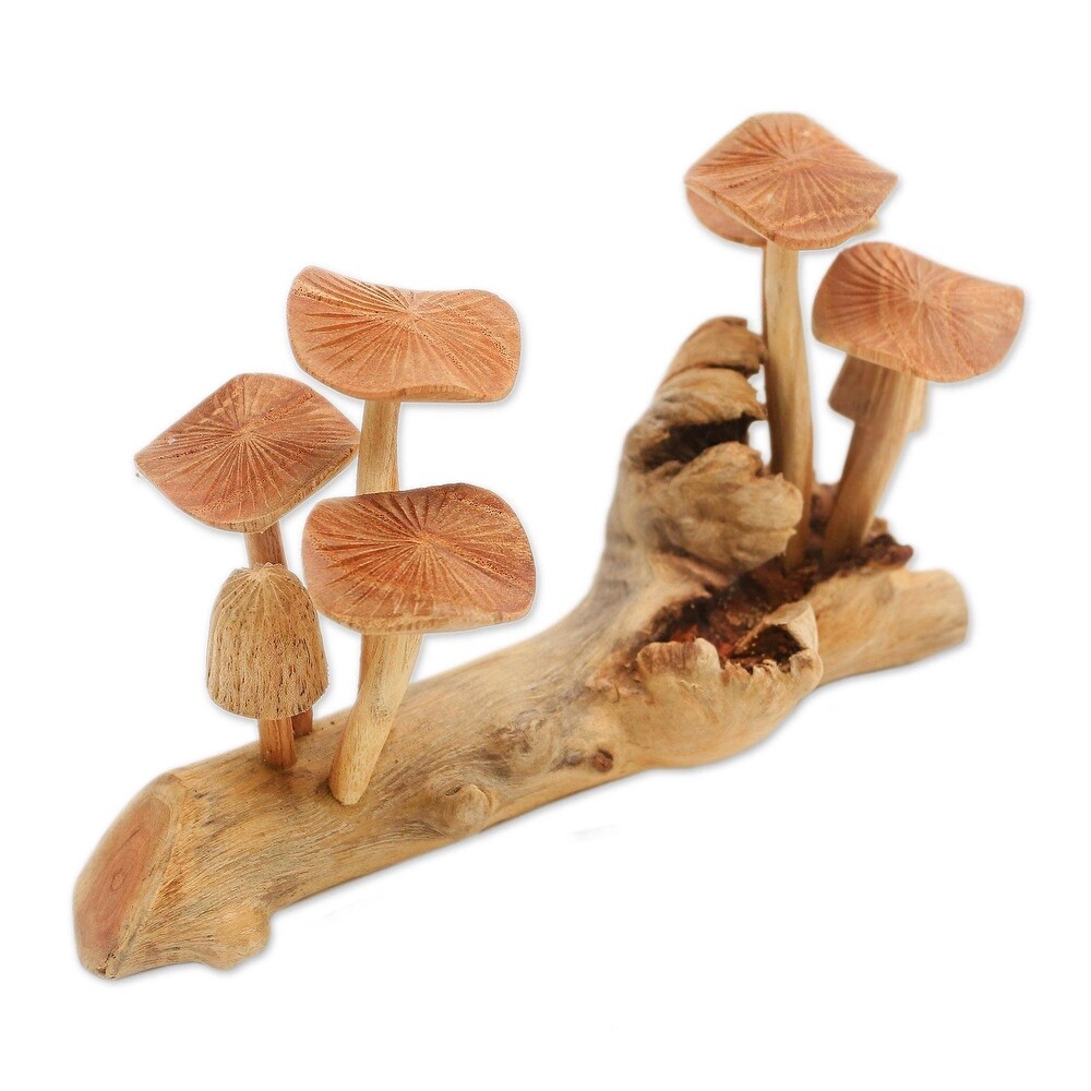 NOVICA Mushroom Field  Wood sculpture   4.7\