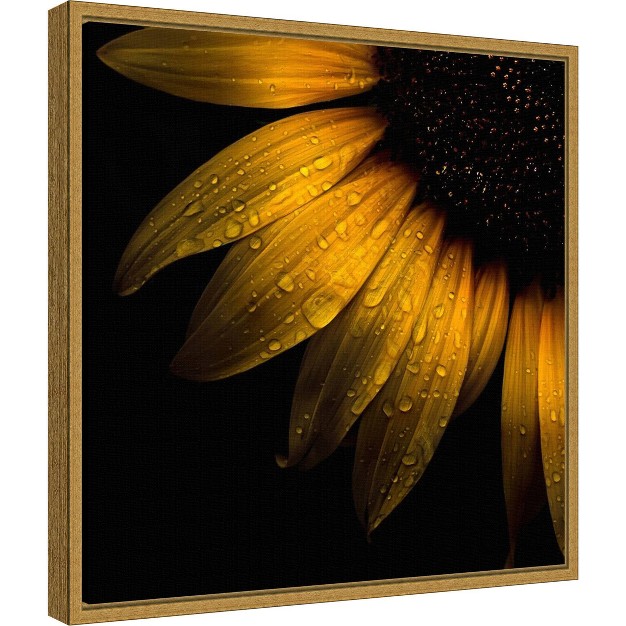 X 16 quot Sunflower Detail By Brian Carson Framed Wall Canvas Amanti Art