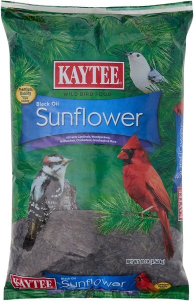 Kaytee Black Oil Sunflower Wild Bird Food， 10-lb bag