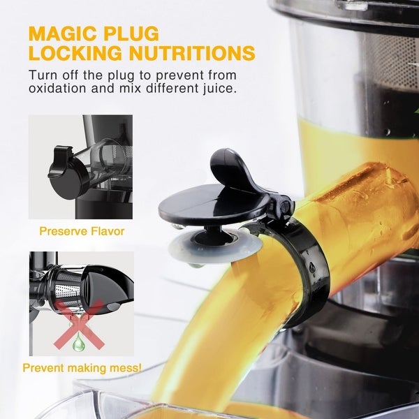 3.2-inch Chute， Cold Press Masticating juicer