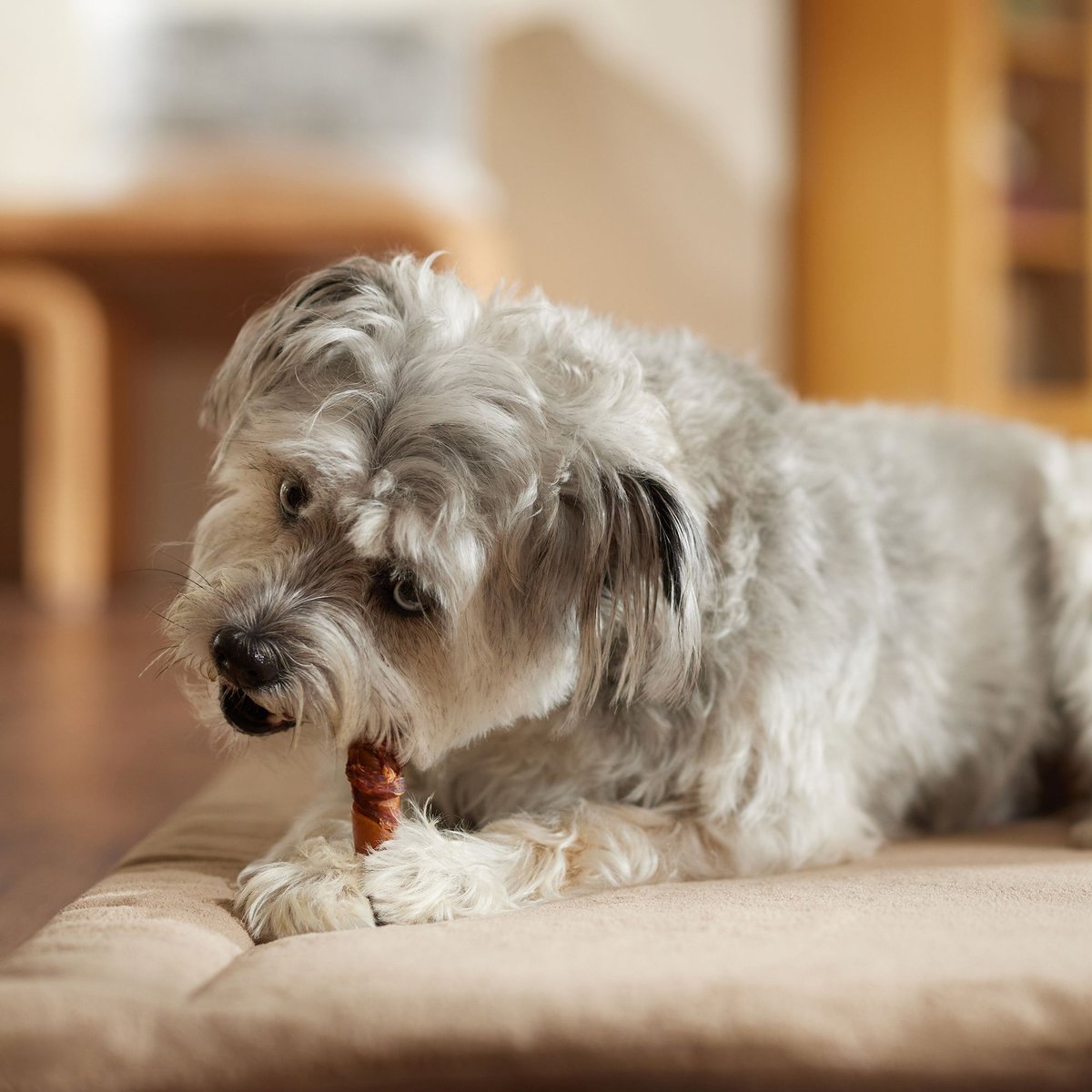 SmartBones Chicken Wrapped Stuffed Twistz Dog Treats