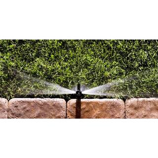 Rain Bird 15 Series 4 ft. x 26 ft. to 30 ft. Center Strip Nozzle 15CSTC1