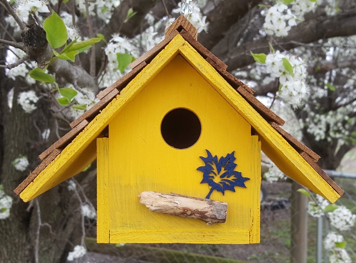 Bird Houses by Mark Chateau Wren Bird House