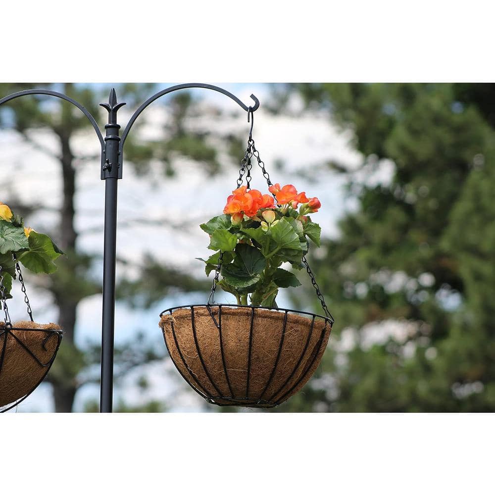 Ashman Online 12 in. Dia. Growers Ashman Hanging Basket Black Metal with Coco Lining PlantBasketRoundWire2Pk