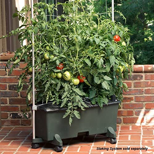 EarthBox Container Gardening System - Green