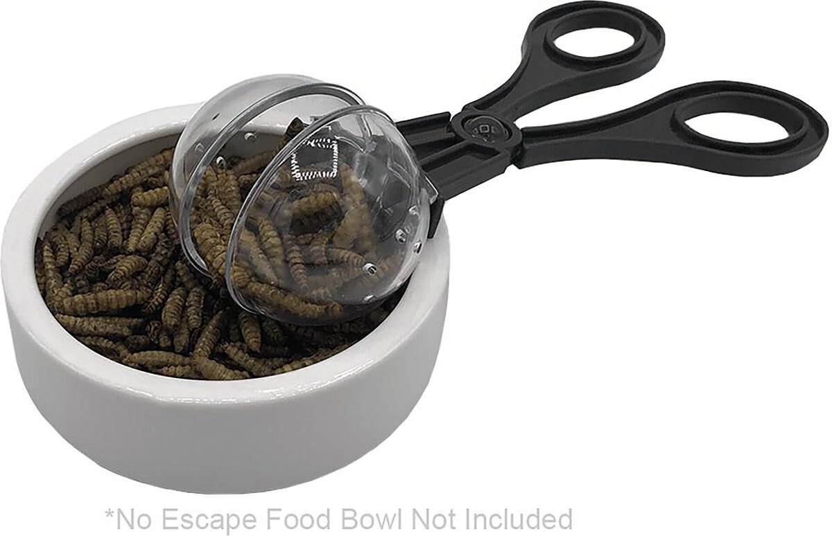 Symton Symple Reptile Food Scooper