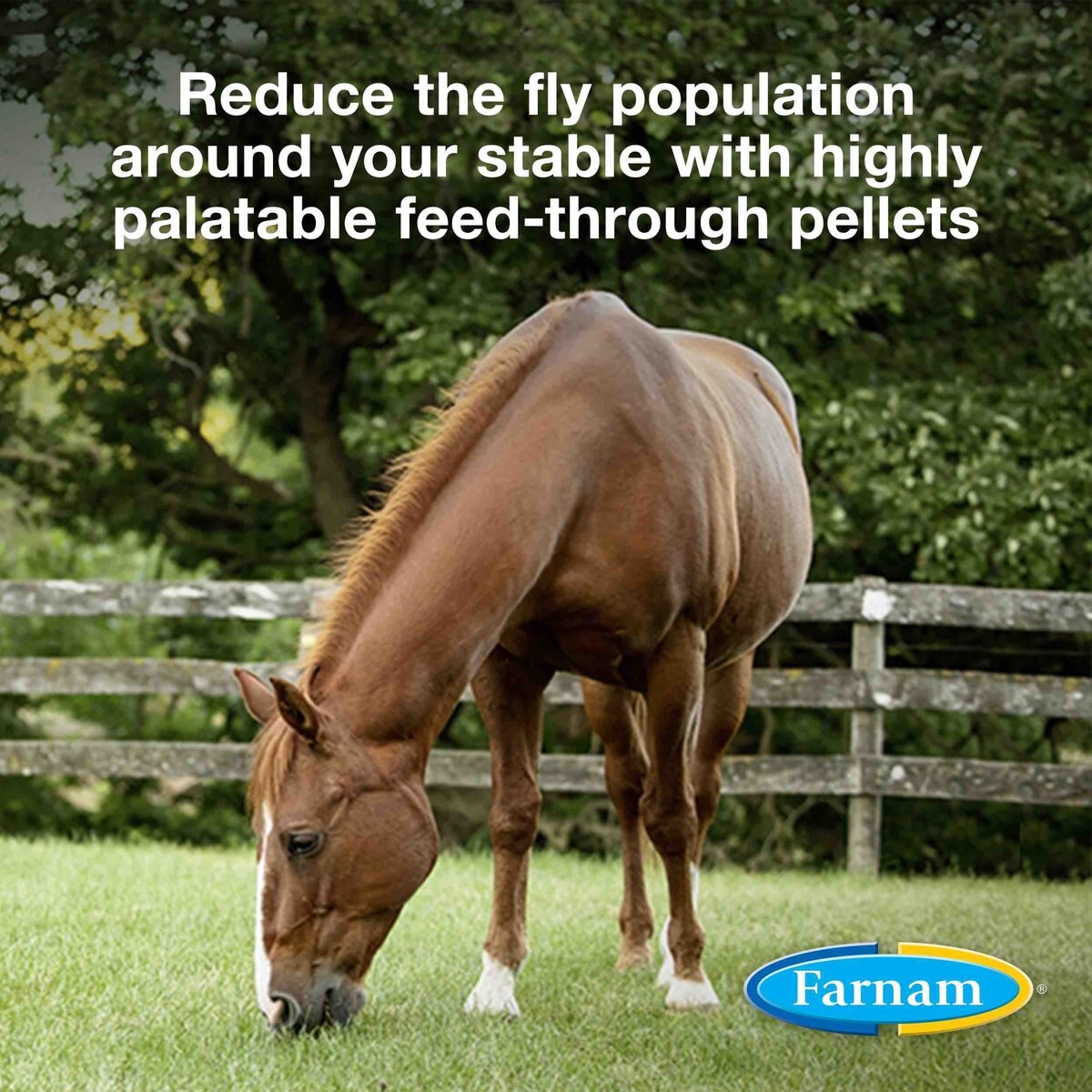 Farnam SimpliFly Feed-Thru Fly Control Pellets Horse Supplement