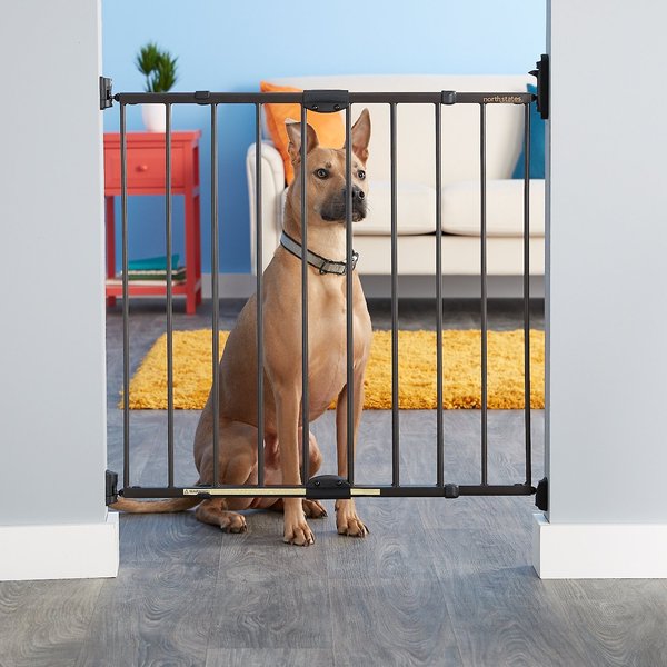 MyPet Windsor Walk Thru Swing Gate for Dogs and Cats