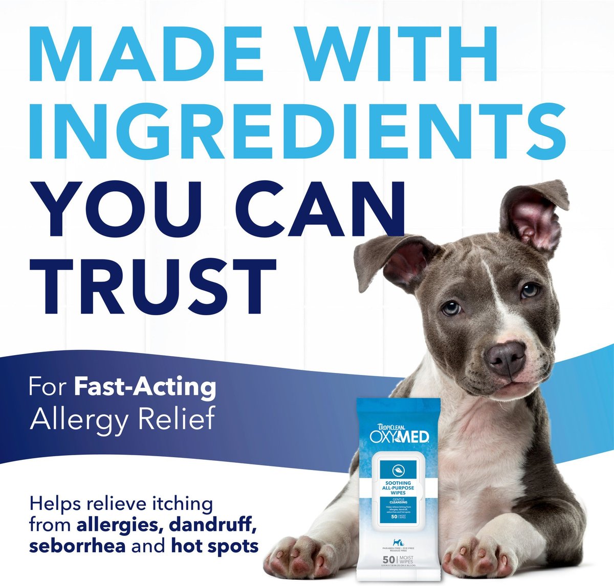 TropiClean Oxy Med Allergy Relief Wipes for Dogs and Cats