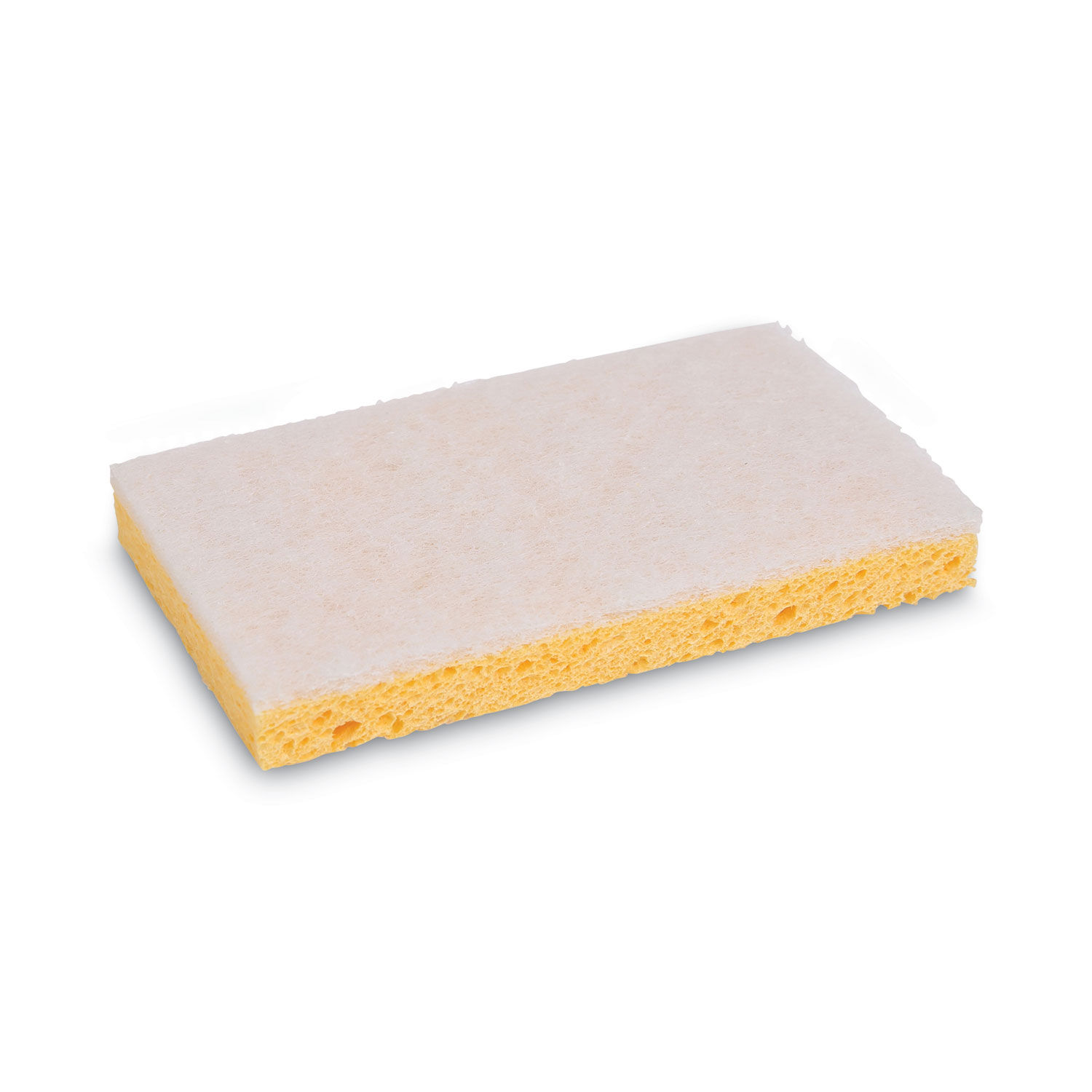 Scrubbing Sponge by Boardwalkandreg; BWK16320