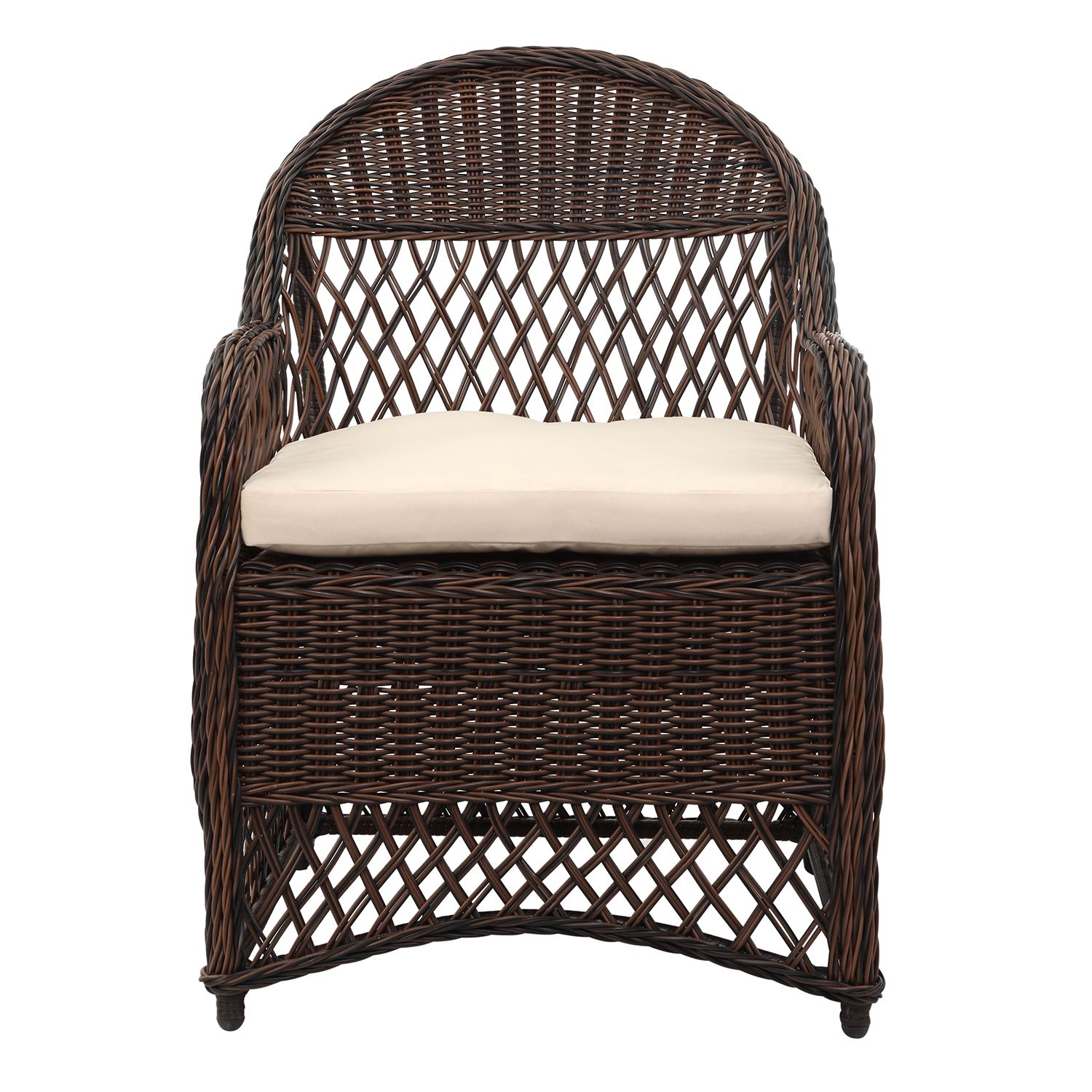 Safavieh Contemporary Indoor / Outdoor Wicker Arm Chair