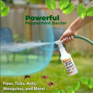 Mighty Mint 32 oz. Yard Spray Bug Control Peppermint Spray YS-32