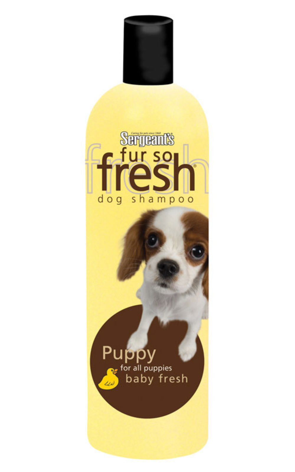 SHAMPOO DOG 18 OZ