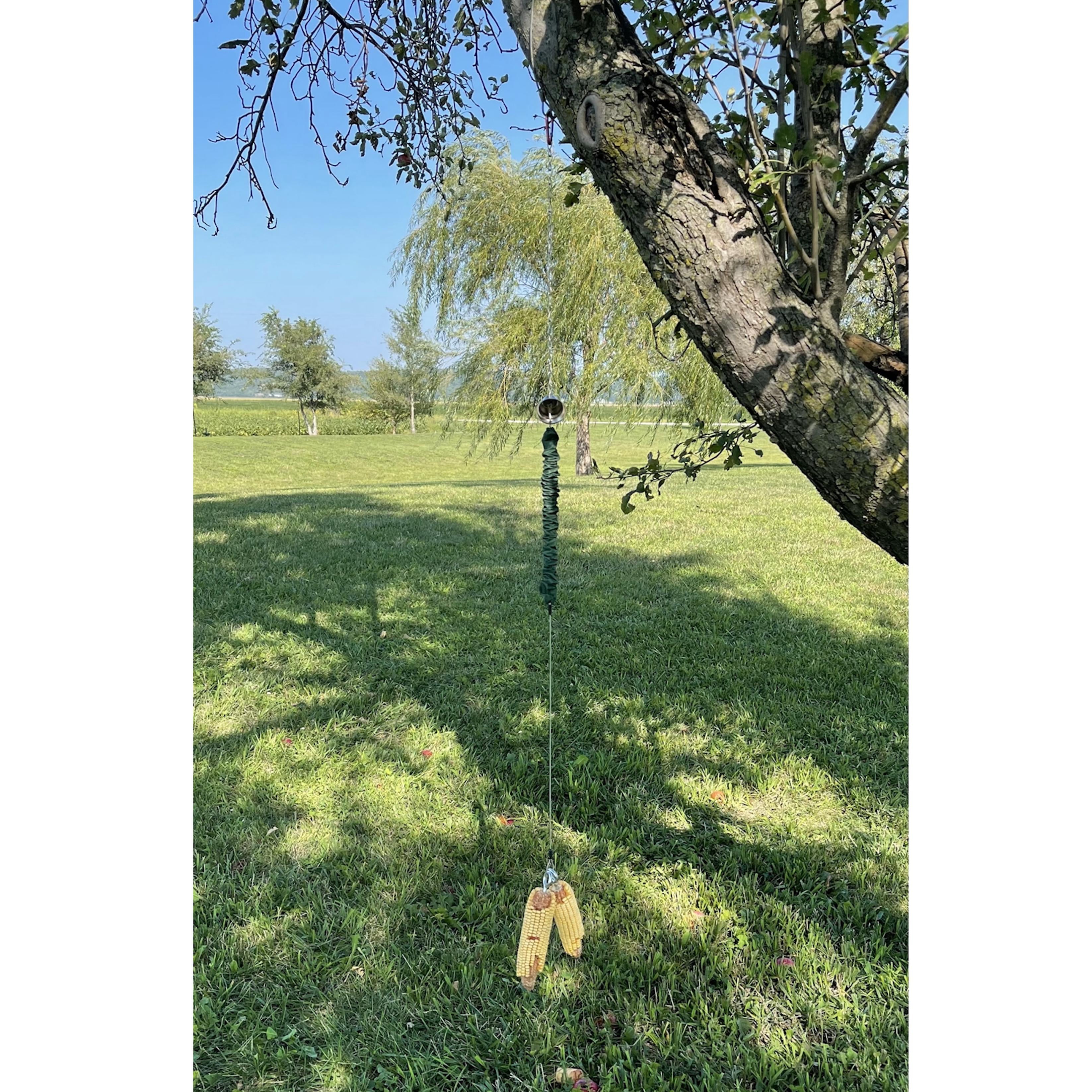 Songbird Essentials Squngee Squirrel Feeder Bungee Corn Feeder with Bell