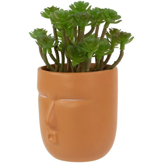 Mini Artificial Succulent In Face Planter Pot