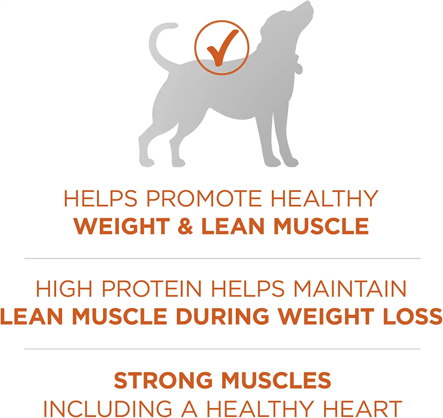 Purina ONE Natural Weight Control Dry Dog Food， +Plus Healthy Weight Formula - 16.5 lb. Bag