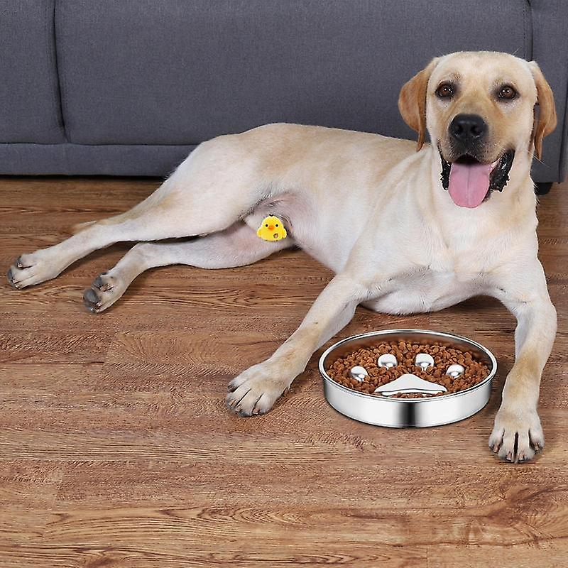 Stainless steel dog slow feeder bowls