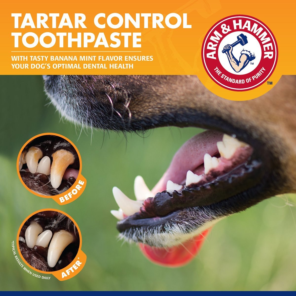 Arm and Hammer Tartar Control Banana Mint Flavored Enzymatic Dog Dental Kit