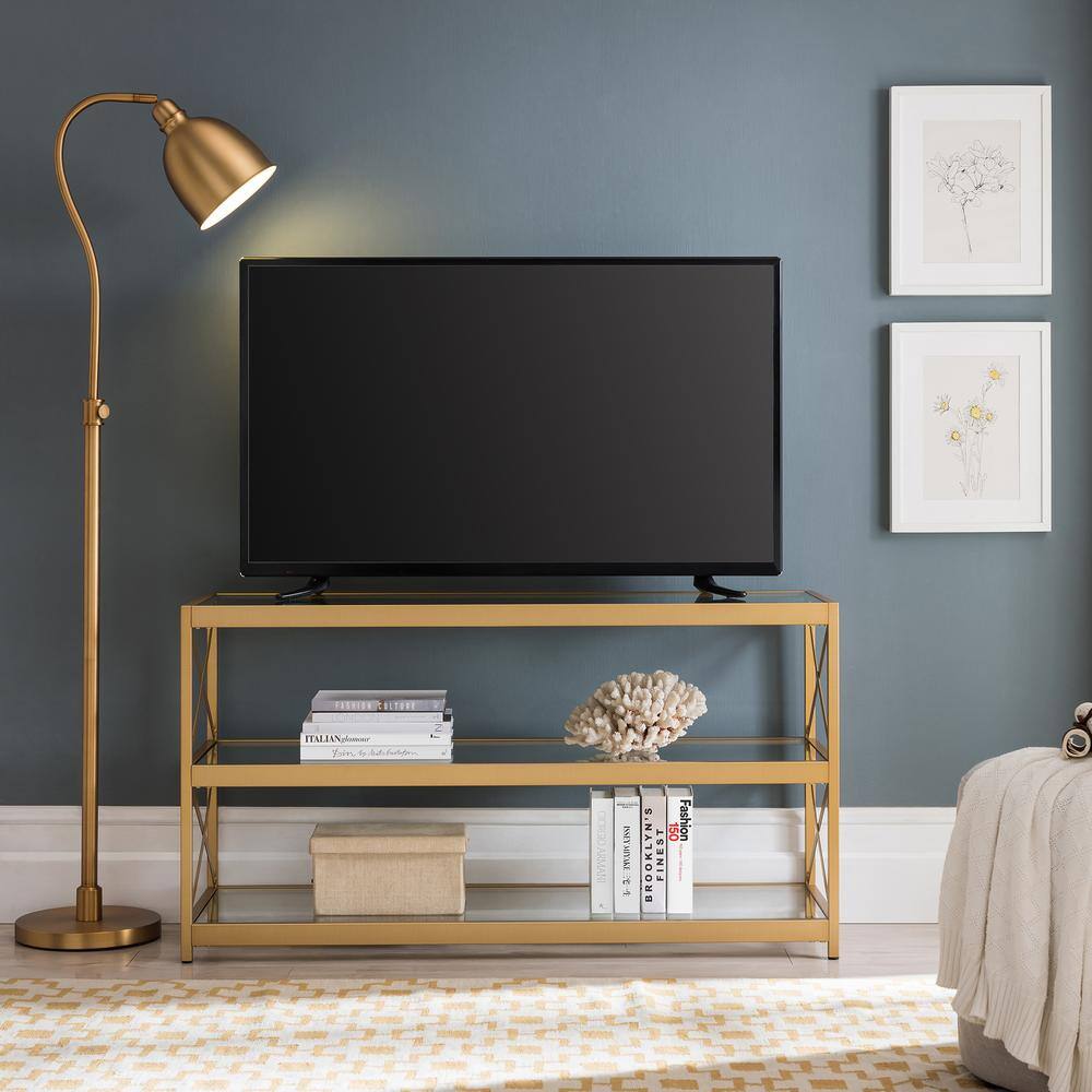 MeyerCross Hutton 48 in. Brass Finish TV Stand Fits TVs up to 50 in. TV0570