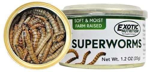 Exotic Nutrition Superworms Hedgehog Treats， 1.2-oz can