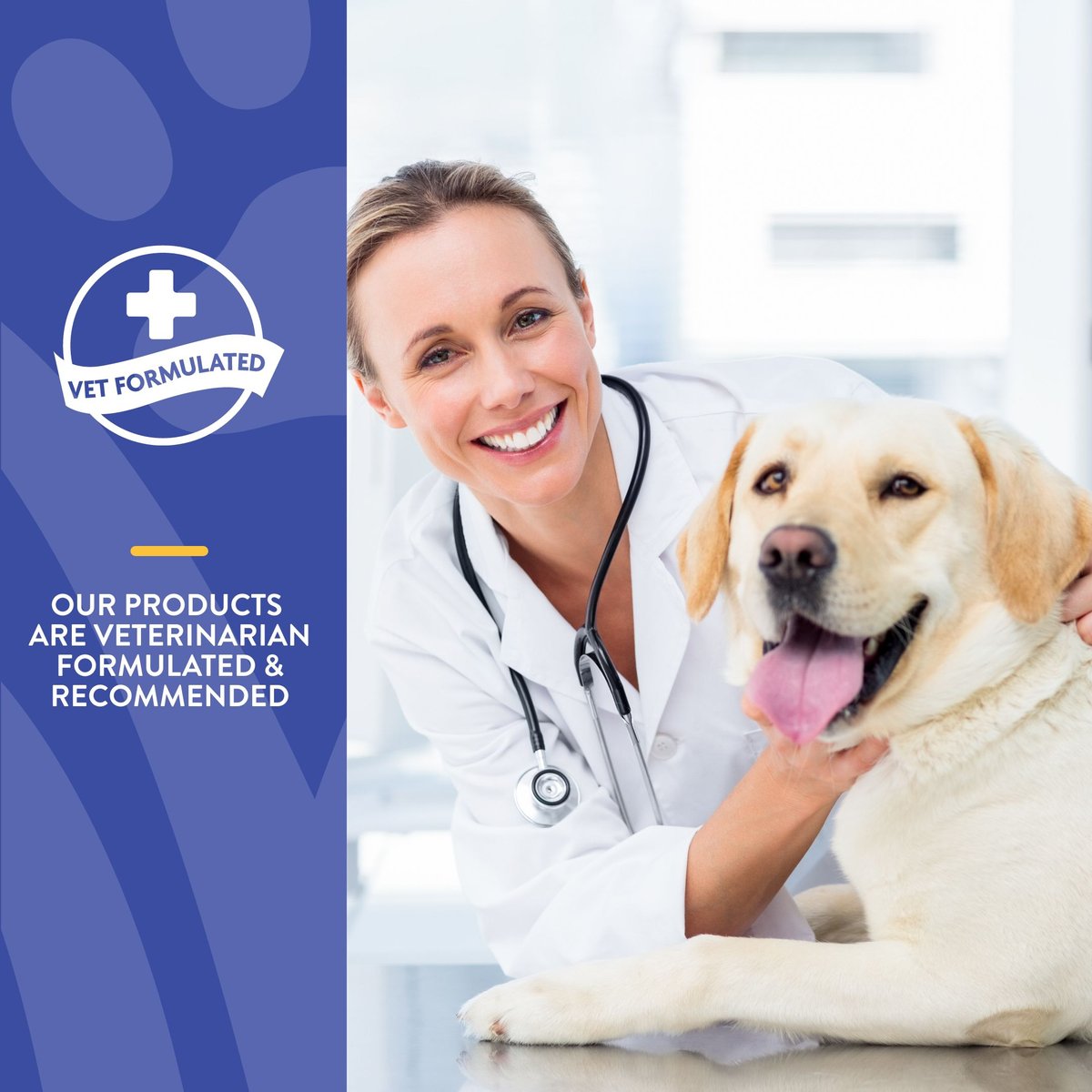 NaturVet Homeopathic Medicine for Digestive Issues and Diarrhea for Cats and Dogs