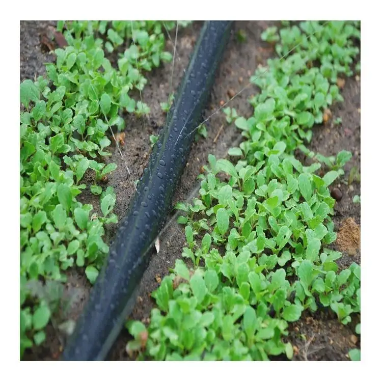 agriculture irrigation rain hose garden Mainly used as branch line in irrigation system anti aging anti corrosion Spray hose