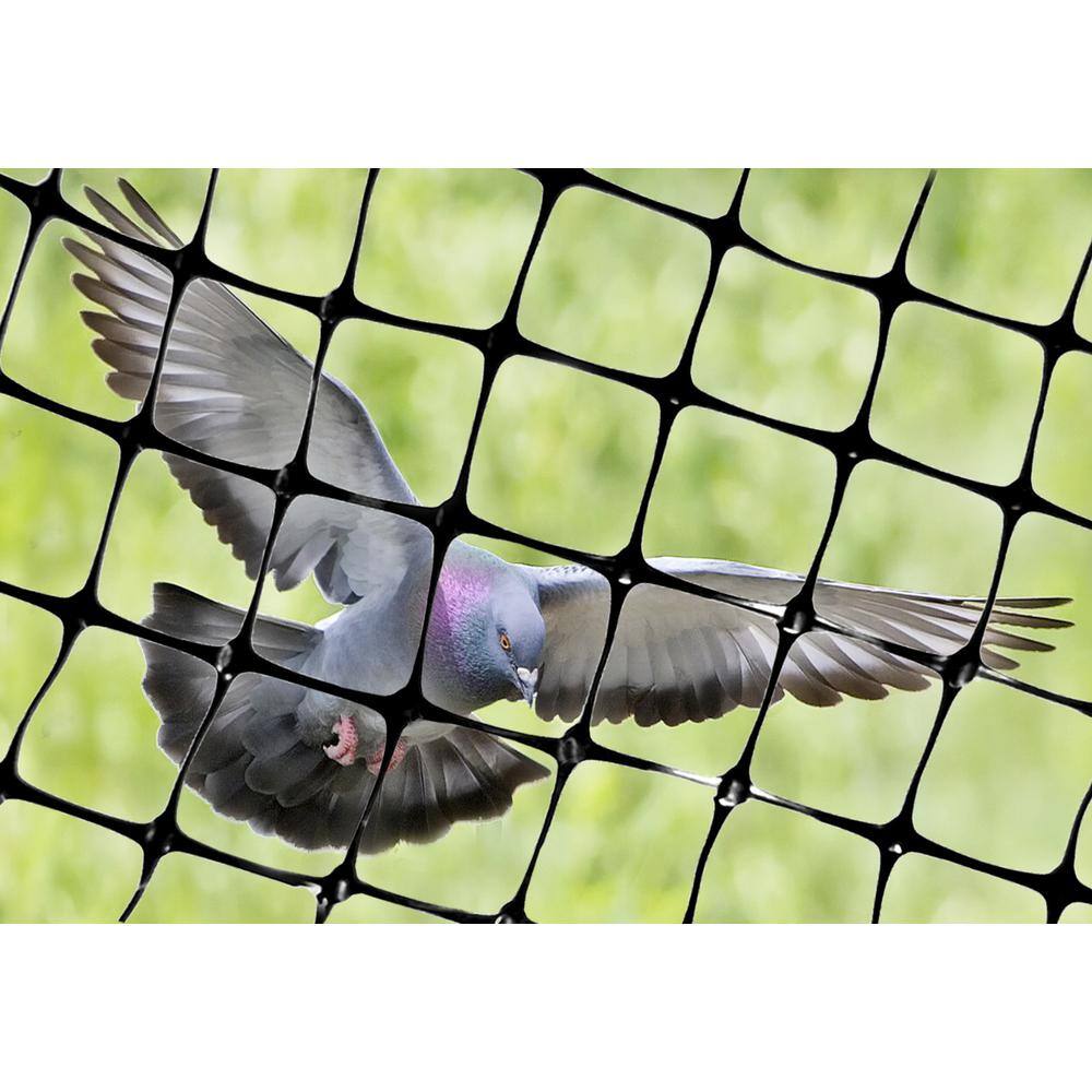 Bird-X 100 ft. x 14 ft. Structural Bird Netting NET-STR-100