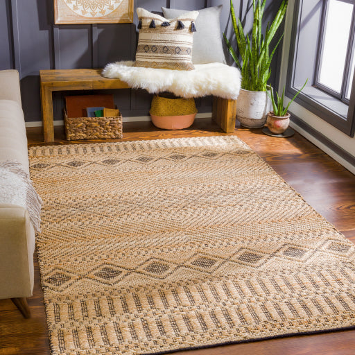 Santa Barbara Modern Jute Tan Rug