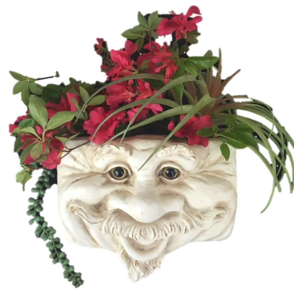 HOMESTYLES Uncle Nate 10.5 in. Antique White the Muggly Face Statue Tree and Resin Patio Wall Planter 39545