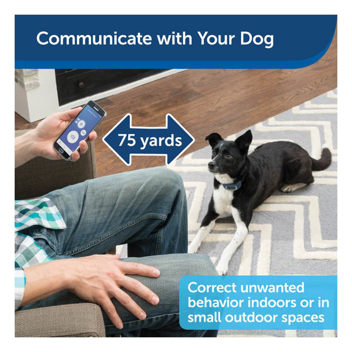 PetSafe SMART DOG Trainer