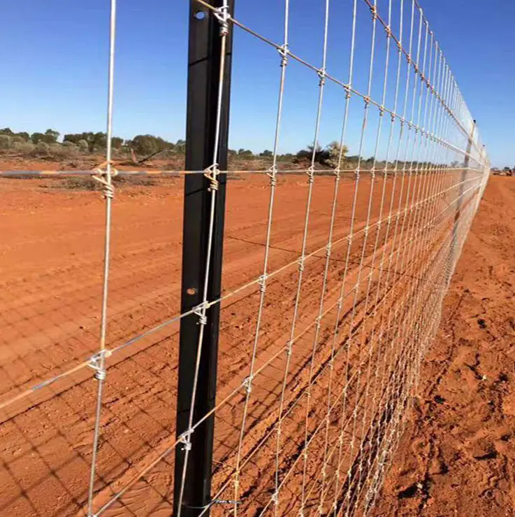 cattle/sheep/farm/field/deer wire mesh fence galvanized grassland fence Fixed nodule fence