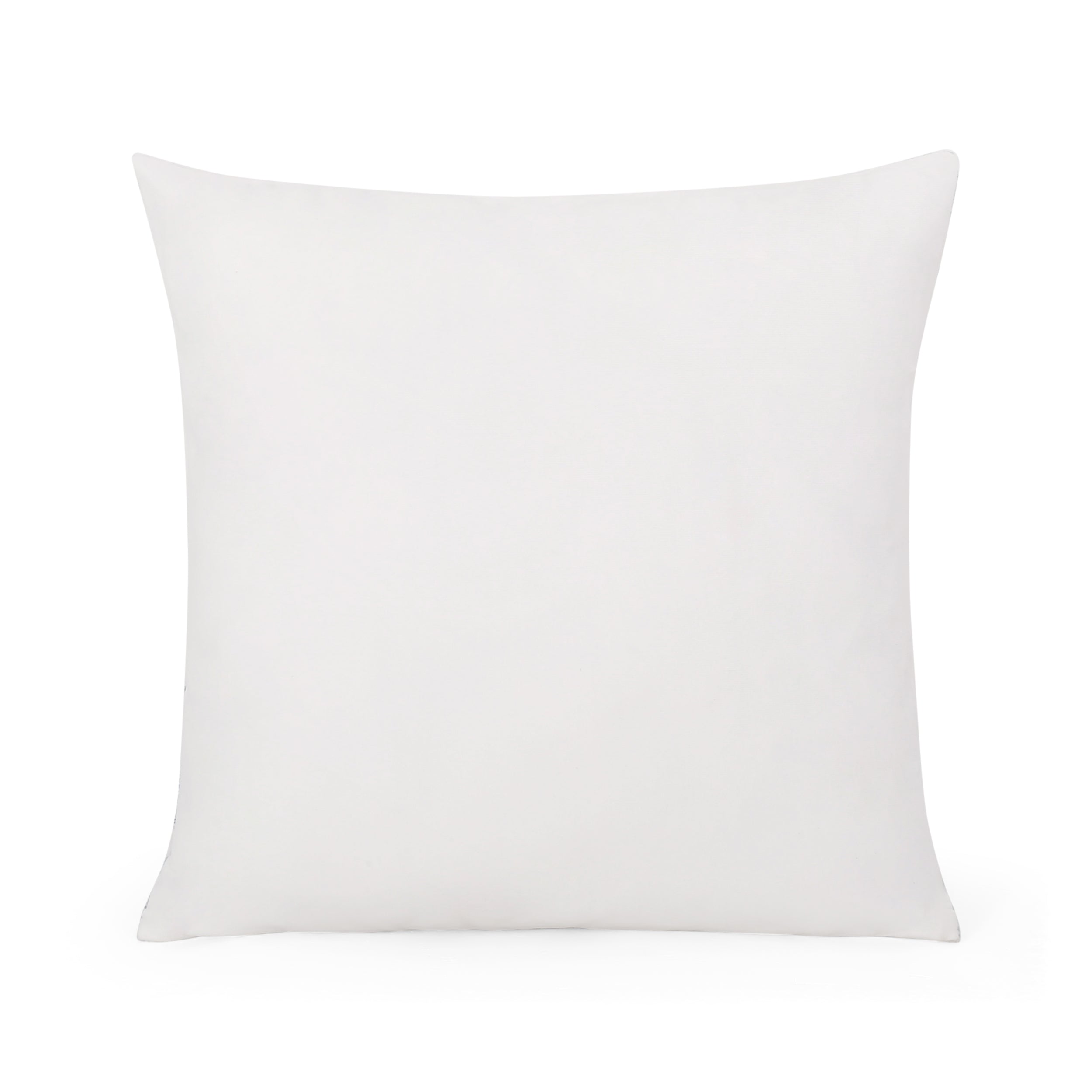 Aditi Modern Throw Pillow