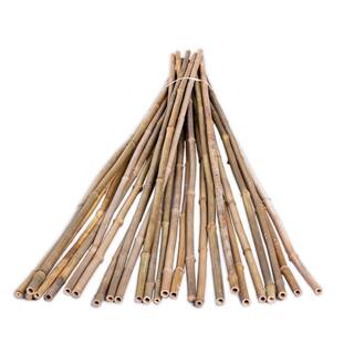 Backyard X-Scapes 12 in. x 6 ft. Natural Bamboo Poles (25-PackBundled) HDD-BP04