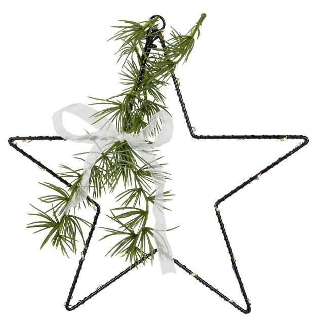 Led Lighted Star With Rosemary Sprig Christmas Decoration Warm White Lights