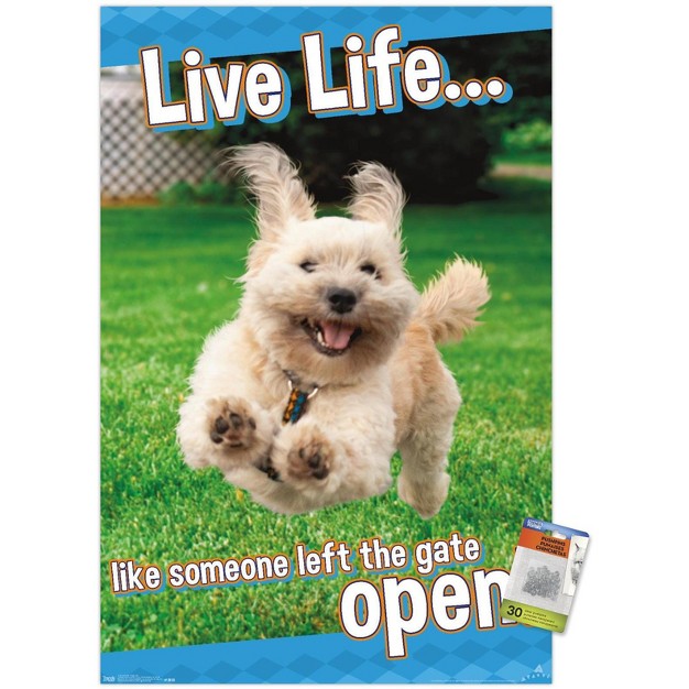 Trends International Avanti Dog Joy Unframed Wall Poster Prints